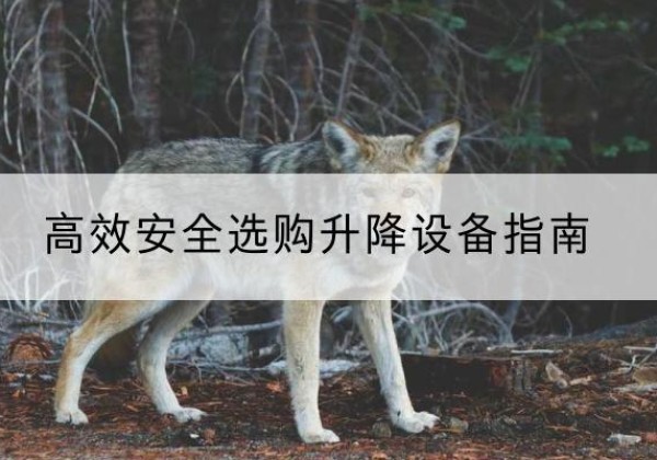 临漳升降货梯厂家推荐-*安全选购升降设备指南
