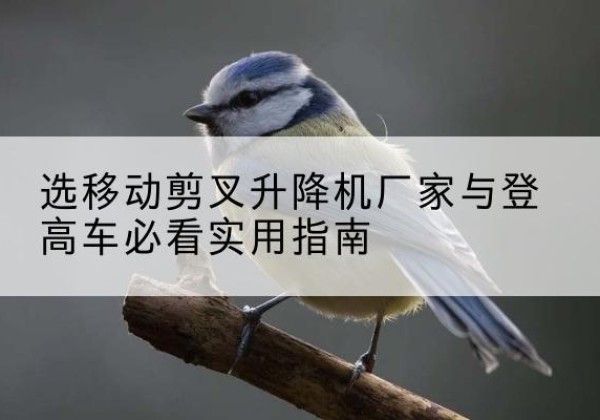 临漳电动升降机厂家-选移动剪叉升降机厂家与登高车必看实用指南